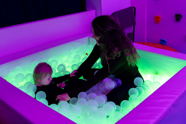 Duyu Bütünleme Nedir?