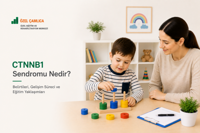 CTNNB1 Sendromu Nedir? Belirtileri, Gelişim Süreci ve Eğitim Yaklaşımları