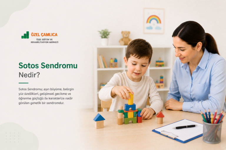 Sotos Sendromu Nedir? Belirtileri, Gelişim Süreci ve Eğitim Yaklaşımları