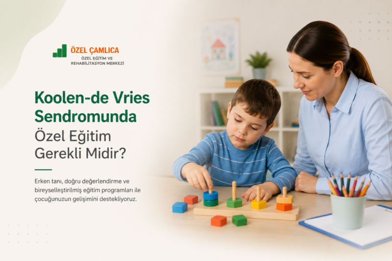 Koolen-de Vries Sendromu Nedir? Belirtileri, Gelişim Süreci ve Eğitim Yaklaşımları